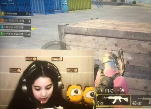 娱乐吃瓜欧阳娜娜视频大全,笑料百出，趣味十足