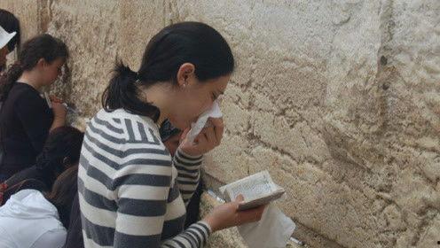 吃瓜娱乐圈小羊