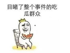 吃瓜事件,揭秘娱乐圈背后的真相与争议