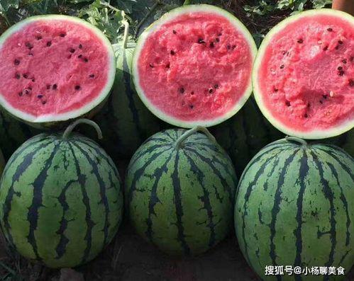 安排好行程娱乐吃瓜酱,一场说走就走的旅行盛宴