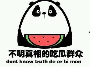 网络用语吃瓜怎么说