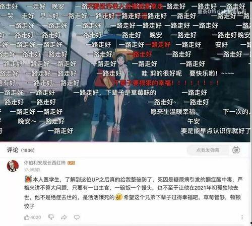 b站娱乐圈吃瓜,b站吃瓜指南，揭秘明星幕后故事