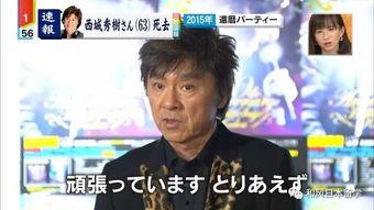 快乐吃瓜娱乐新闻最新一期,揭秘娱乐圈幕后故事，明星隐私大曝光！