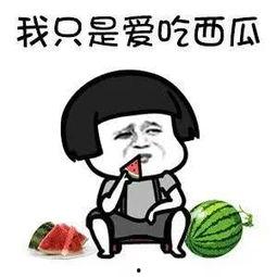 吃瓜娱乐圈动画视频